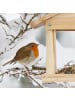 relaxdays Vogelhaus in Natur