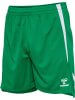 Hummel Short "Hmllead 2.0 Shorts" in Grün