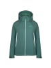 Westfjord Zipp-Off Softshelljacke Askja XT in glacier green