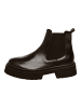 Steve Madden Stiefelette Schwarz