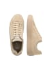 JOOP! Sneaker 'Piola Nikita in Beige'