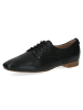 PETER KAISER Klassische Schnürschuhe in Schwarz