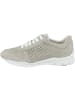 Geox Sneaker low D Sukie B in grau