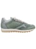 Cetti Sneaker Low in grün