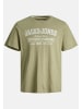 Jack & Jones T-Shirt 'Ejeans' in mehrfarbig