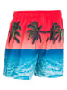 Cruz Badeshorts Farell in PRINT 8293