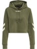Hummel Hoodie in Grün