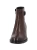 palado Stiefeletten in dk brown