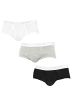 CALVIN KLEIN UNDERWEAR 3er-Set: Slip in Multicolored