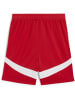 Puma Sporthose "RBS Shorts Replica Jr" in Rot