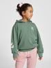 Hummel Hoodie Hmldue Hoodie in LAUREL WREATH