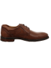 LLOYD Schnürschuhe KOS in braun