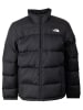 The North Face Jacke DIABLO DOWN in Schwarz