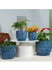 ABRIHOME Pflanztopf Set in Blau 4-tlg Ø38/31,5/24/19 cm Keramik frostsicher