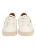 BLAUER USA Sneaker Cream