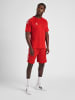 Hummel Hmlcore Herren in TRUE RED