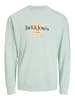 JACK & JONES Junior Sweatshirt 'Lafayette' in hellblau