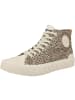 Palladium Sneaker mid Palla Ace Mid Fest in beige