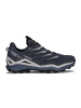 LOWA Wanderschuhe MADDOX PRO GTX LO in Blau