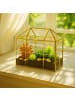 relaxdays Pflanzenterrarium "Haus" in Gold - (B)30 x (H)27 x (T)15 cm