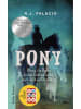 dtv Buch - Pony