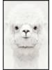 Juniqe Poster in Kunststoffrahmen "Smiling Alpaca" in Weiß