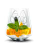 Mr. & Mrs. Panda Blümchentail Glas Avocado Pärchen mit Spruch in Transparent