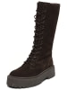 Steve Madden Stiefel VROOM in Chocolate