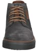 Pius Gabor Sneaker in Grau/Braun