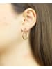 Vanlere Creolen aus 375 Gelbgold