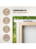 MuchoWow Leinwand bilder Waldlicht (BxH)