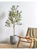 Beliani Kunstpflanze OLIVE TREE in Grün/Schwarz - (W) 63 x (H) 153 x (L) 63 cm