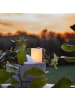 STAR Trading LED Outdoor-Kerze ,Flame Candle' in Weiß, Batterie + Timer, flackernd,