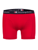 Champion Boxershorts 4pk Boxer in Red / Blue