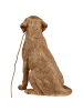 Beliani Tischleuchten MARLEY in Gold/Messing - (W) 26 x (H) 49 x (L) 34 cm