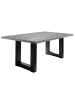 58 aufm Kessel ESSZIMMERTISCH Eila 8 200 x 100 x 75 Esstisch Schwarzstahl/Beton