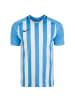 Nike Performance Fußballtrikot Striped Division III in hellblau / weiß