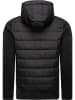 ragwear Steppjacke Hallmar Hood in Black