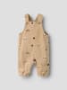 name it Overall in Sesame1
