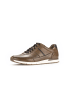 Pius Gabor Sneaker low in braun