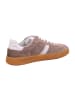 Sioux Sneaker Low in Beige
