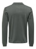 Only&Sons Polo Langarm Shirt Basic Pullover ONSWYLER in Grün-2