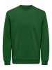 ONLY & SONS Sweatshirt in Formal Garden