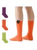 von Jungfeld Classic Socken-Set Signature Innenbund in Gelato
