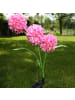 MARELIDA LED Solar Gartenstecker Blume in rosa - H: 70cm