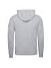 Champion Kapuzenpullover Hooded in grau