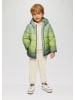 s.Oliver Outdoor-Jacke  in  73A1_hellgrün