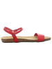 Plakton Sandale in rot