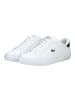 Lacoste Sneaker in Weiß/Grün