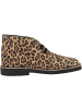 Clarks Schnürschuhe Desert Bt Evo. in multicolor